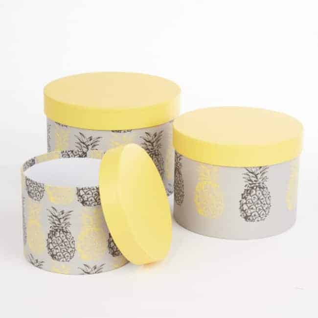 Hat Box Pineapple Set of 3