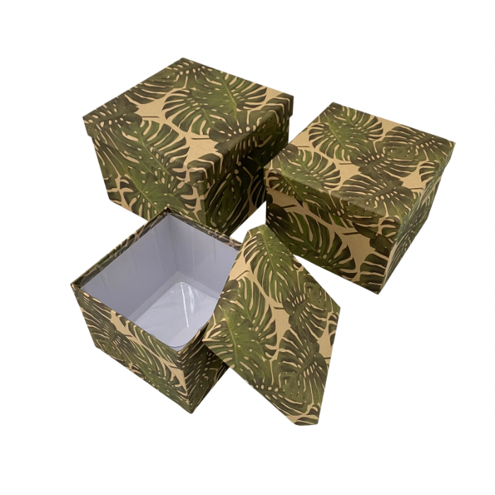 Hat Box Lined - Square Set of 3 Cheese Plant WS