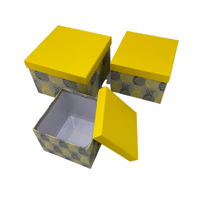 Hat Box Lined - Square Set of 3 Pineapple WS