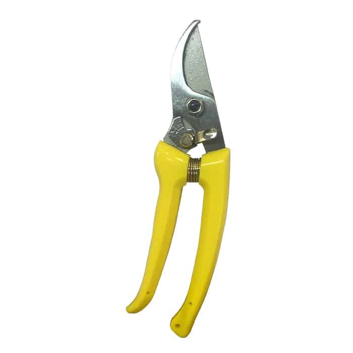 OASIS Pruner - Image 2