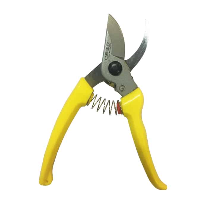 OASIS Pruner
