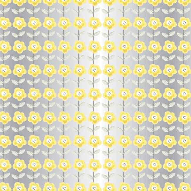Cellophane Roll Sunflower