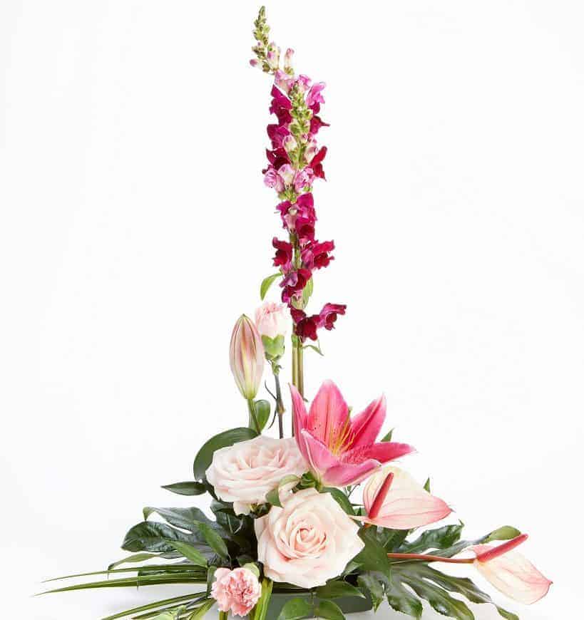 OASIS Noir Ideal Floral Foam Maxlife Brick - Image 2