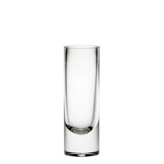 Clear Glass Slim Cylinder Vase 25cm x 5cm